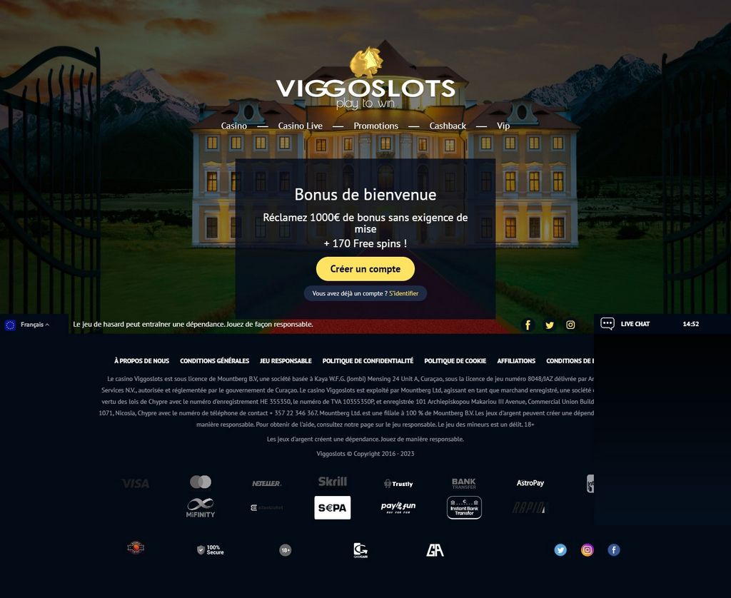 Évaluation d'entreprise de jeu de machines à sous Viggo