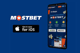 Mostbet Allies Affiliate Program Review